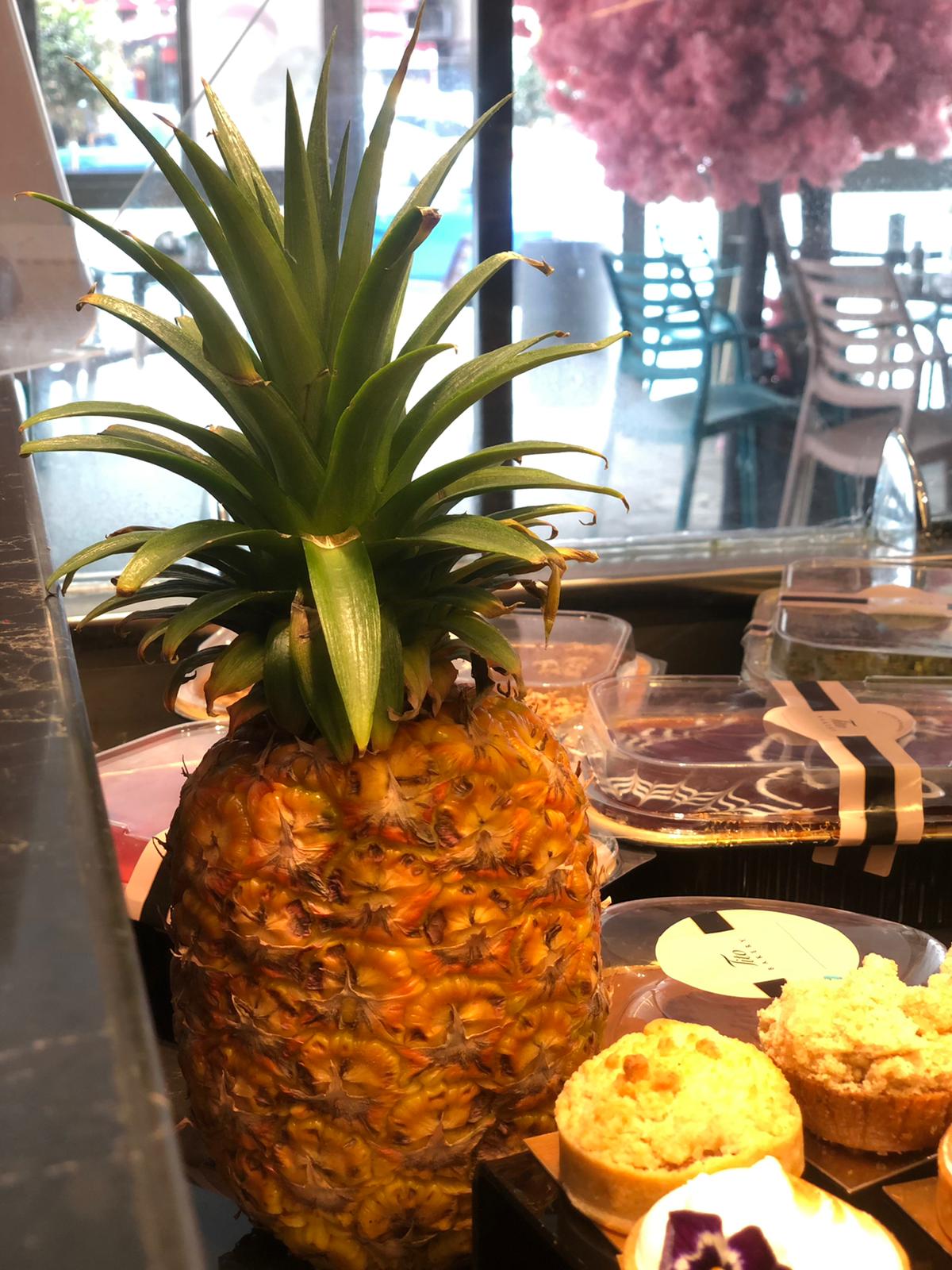 WhatsApp Image 2021-04-13 at 6.03.05 PM.jpeg